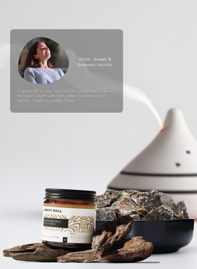 AWAFI MILL Irani Benzoin (Abu Fresh) Incense Resin 100g (3.5 Oz) - Pack of 5 | Luban Jawi Dark Benzoin for Charcoal & Bakhoor Burners - Image 5